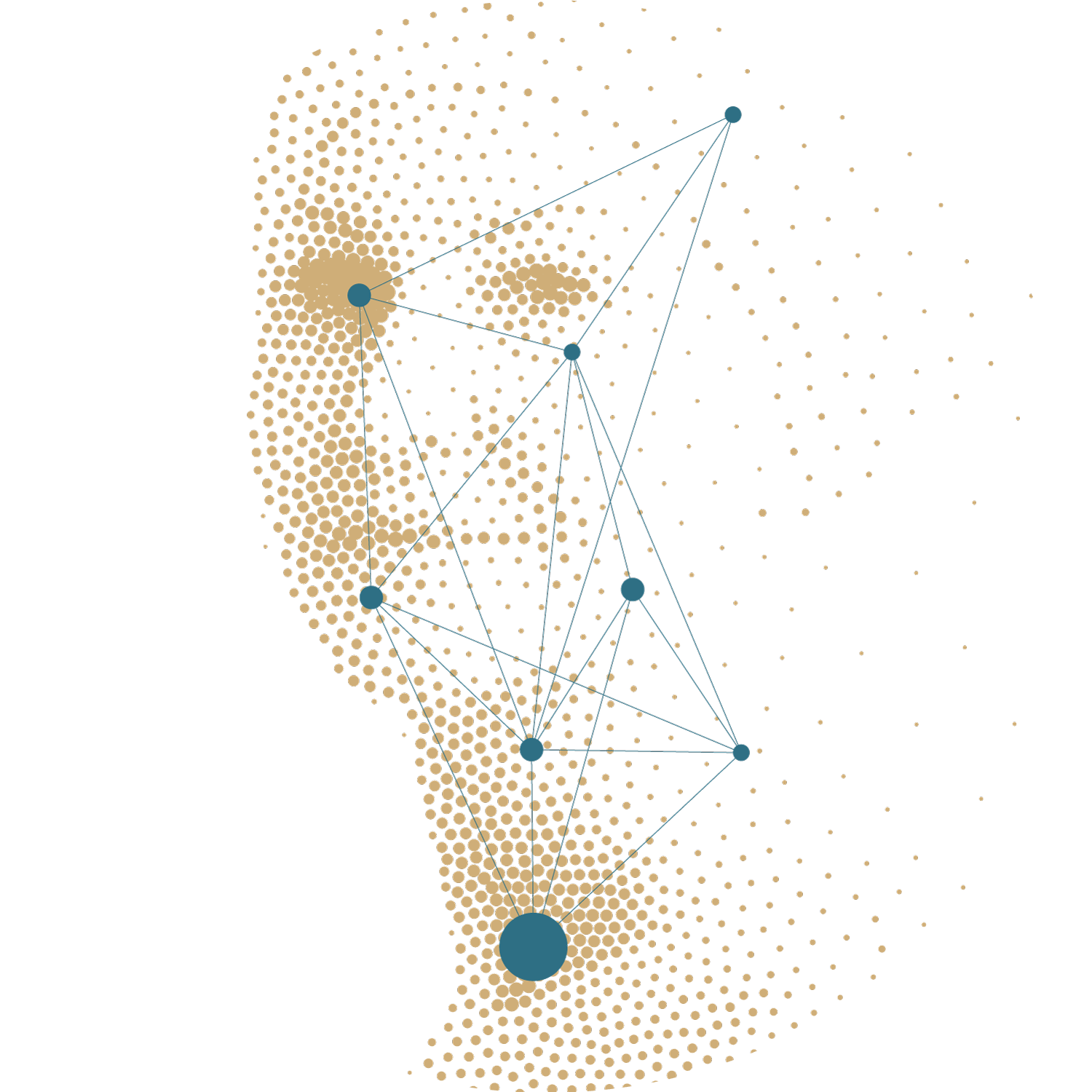 Cancer patient and complex biology