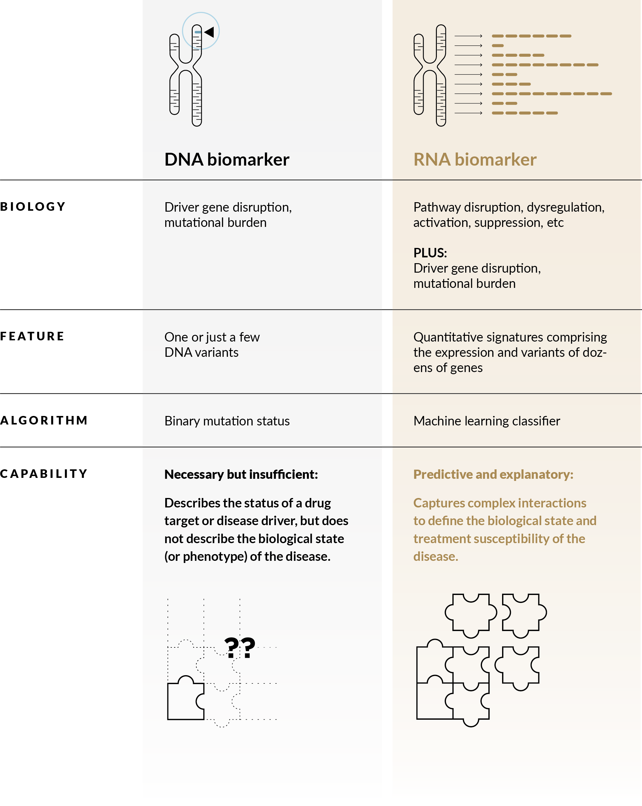 DNA biomarkers are necessary but insufficient. They describe the status of a drug target or disease driver, but do not describe the biological state (or phenotype) of the disease. RNA biomarkers are predictive and explanatory. They capture complex interactions to define the biological state and treatment susceptibility of the disease.