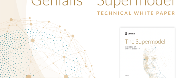 Genialis Supermodel technical white paper cover image showing the white paper front page and graphic elements