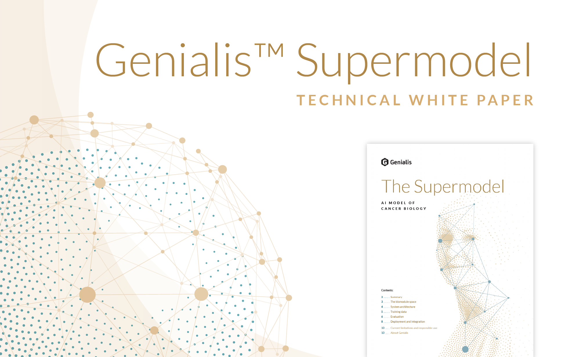 Genialis Supermodel technical white paper cover image showing the white paper front page and graphic elements