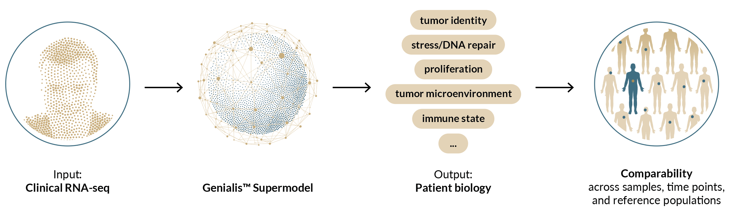 2-Biology-first-analysis-of-longitudinal-clinical-RNA-seq Analysis workflow: Genialis Supermodel converts clinical RNA-seq into biological profiles comparable across samples, time points, and reference populations.
